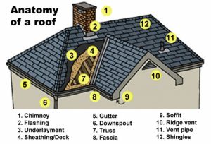 Anatomy of a Roof - Craft Corp